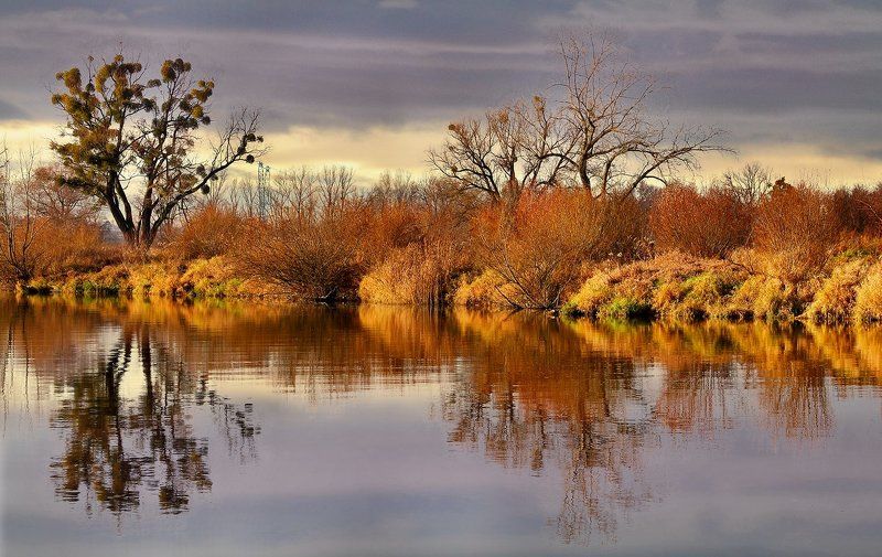 Odra riverphoto preview