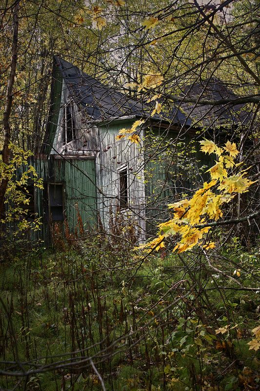 #deep.spb, #deepspb, #decay, #abandoned, #abandonedplaces, #abandonedworld, #арт, #art, #light, #shadows, #colors, #парк, #листья, #осень, #walls, #window, #nature, 171011.1photo preview