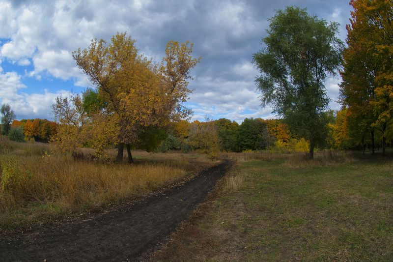 осень,утро,парк,дорога Дорога в осень ...photo preview