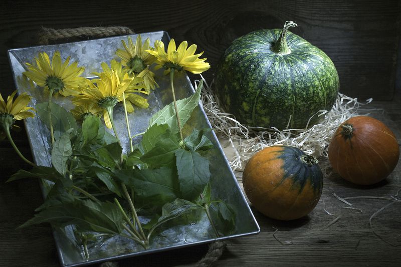 Краски осениphoto preview