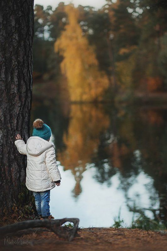 Когда деревья были большимиphoto preview