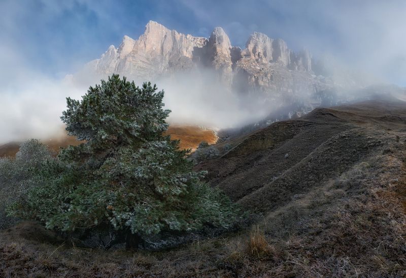 ингушетия, эрзи, кавказ Посеребрила осень горные луга. фото превью