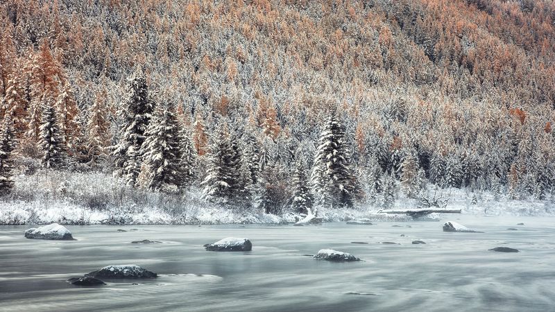 мульта, алтай р.Мультаphoto preview