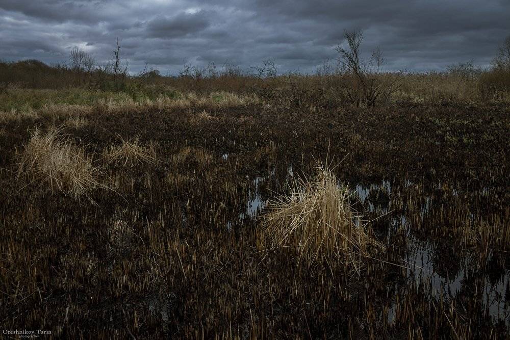 пейзаж,природа,утро,осень,,рассвет, Taras