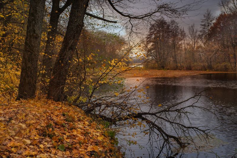 осень,утро,берег,река Вступила в свои права ...photo preview