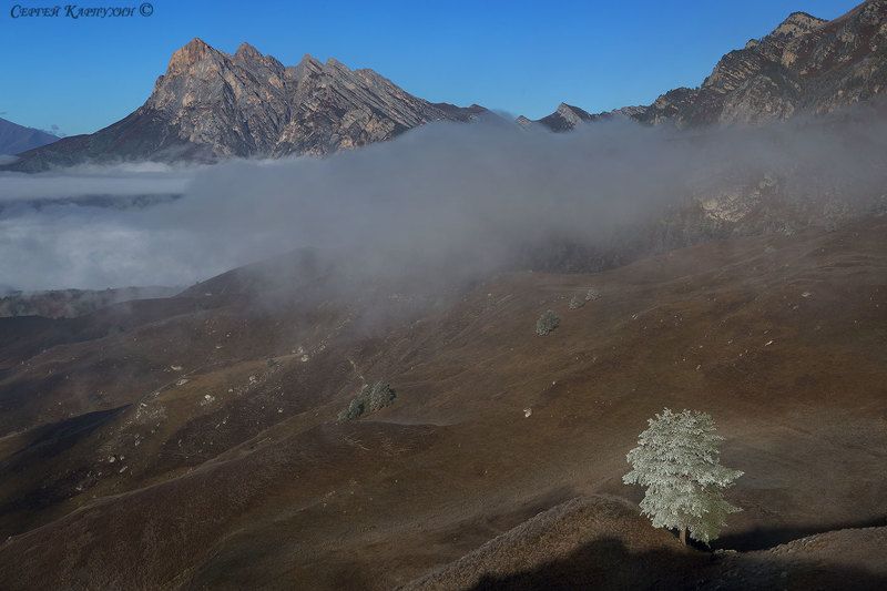 кавказ, ингушетия, заповедник эрзи Уединениеphoto preview