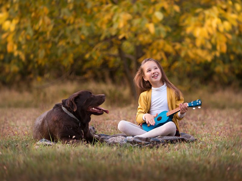 Про осень.... фото превью