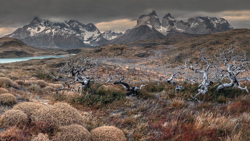 патагония, чили, торрес, patagonia, chile Патагонияphoto preview