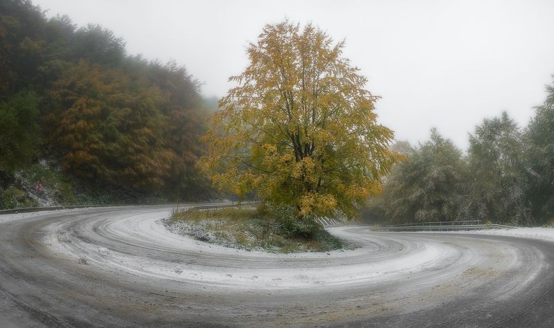 Одинокоphoto preview