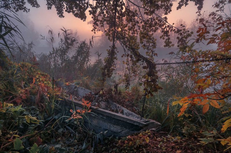 утро, рассвет, туман, солнце, река, пейзаж, лодка, пристанище, осень, камыш До следующего лета...photo preview