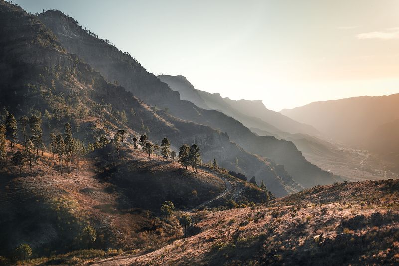 закат, горы, деревья, сосны, пальмы,свет, перспектива, канарские острова, лес *За горами горы*photo preview
