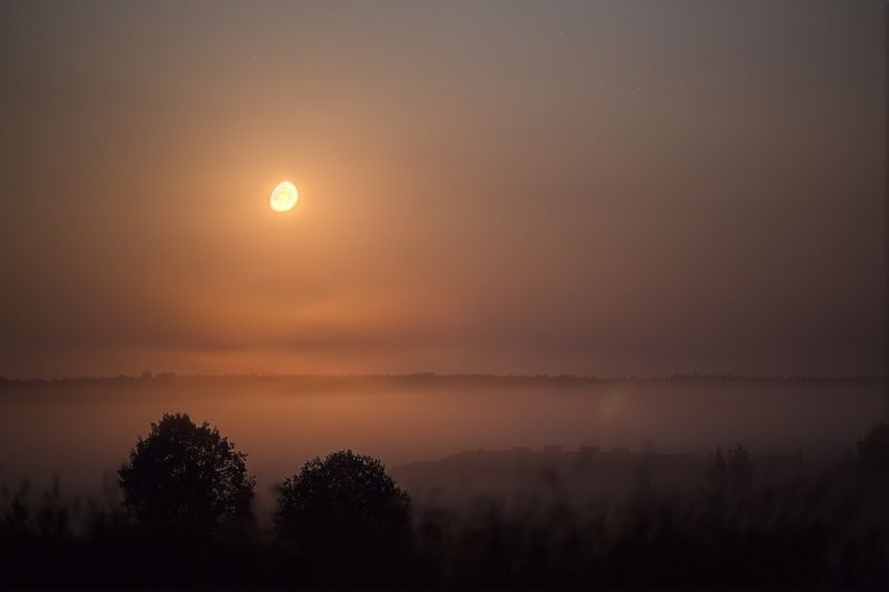 Песнь одинокой луныphoto preview