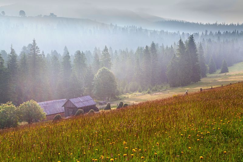 Человек и природа - точки соприкосновенияphoto preview