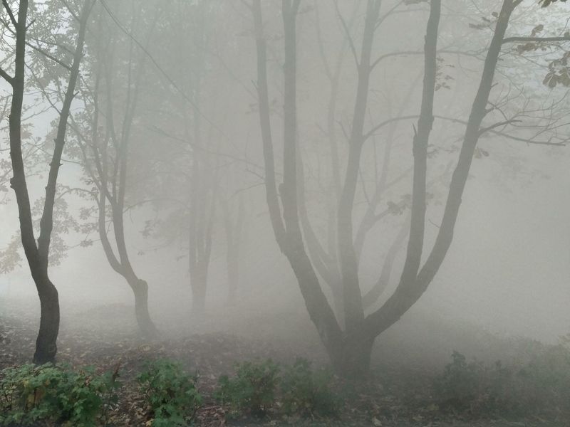 Осень...photo preview