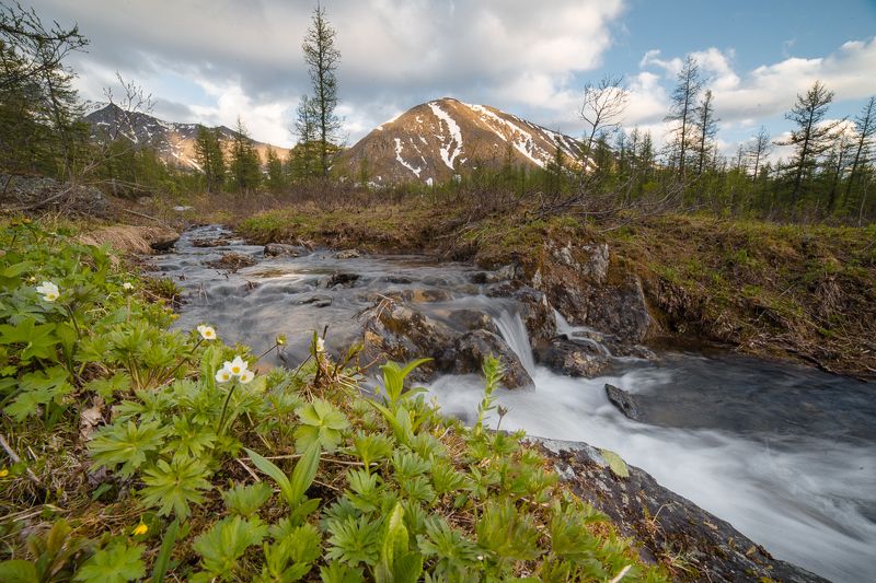 Приполярные ручьиphoto preview