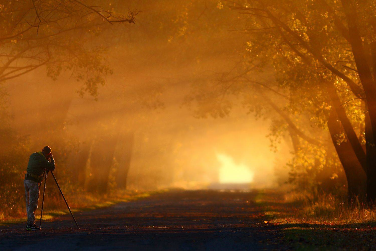 рассвет, туман, утро, осень, Sergii Markov