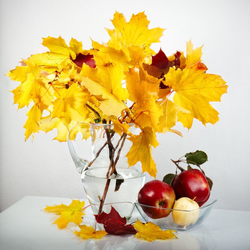 осеньphoto preview