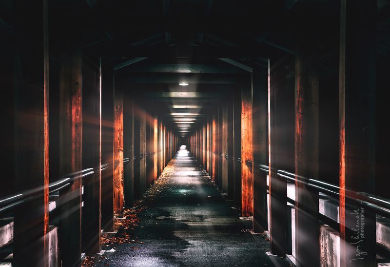 Путешествие во времениphoto preview