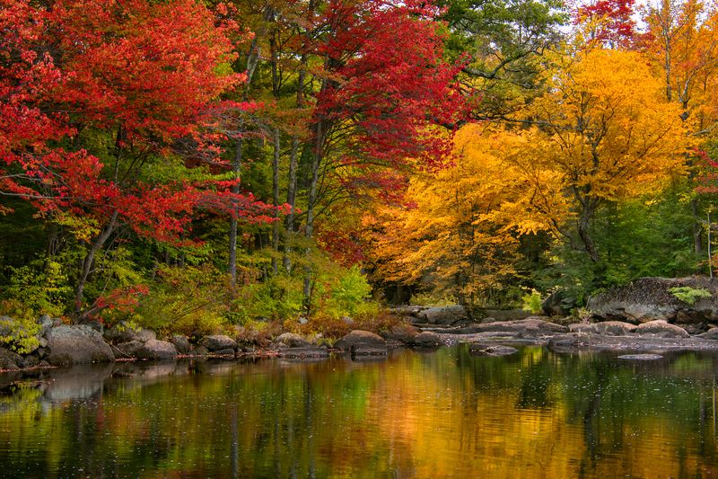 Autumn Streamphoto preview