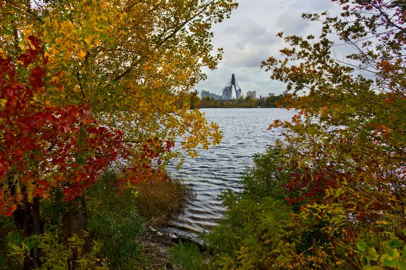 Autumn...photo preview