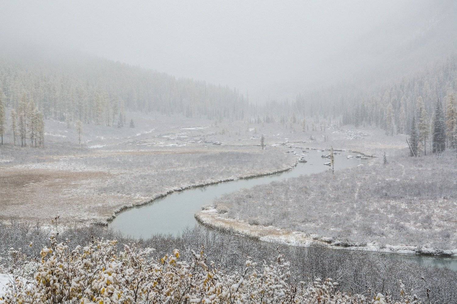 Шавлинский изгиб. Автор: Алексей Кретов алтай,осень, Алексей Кретов