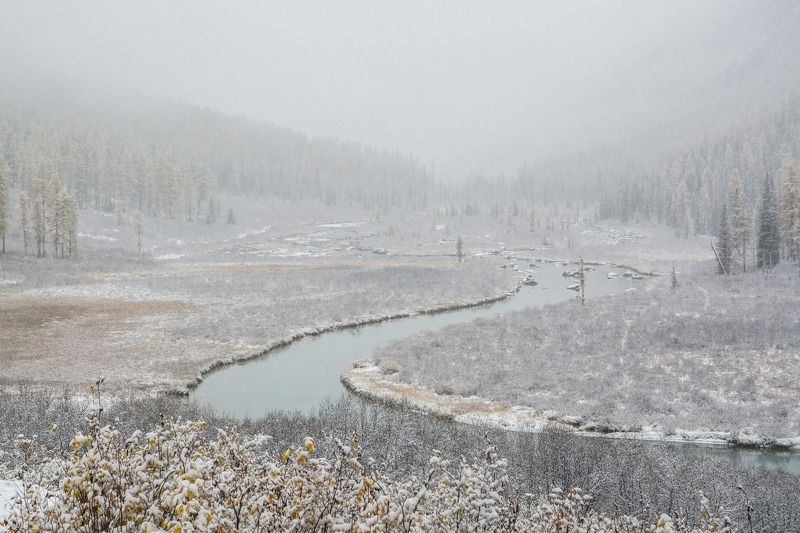 алтай,осень Шавлинский изгибphoto preview