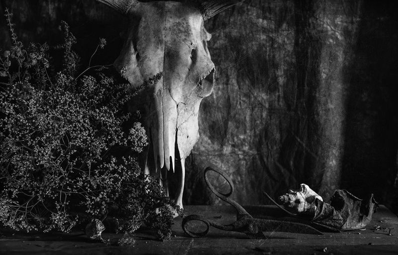 Про ножницы, ракушку и вечное фото превью