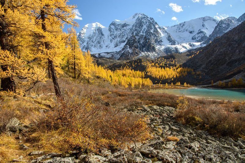 алтай,осень щедрые краски осениphoto preview