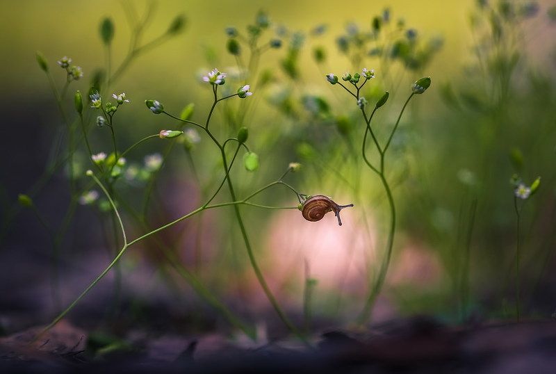 Свет в конце туннеляphoto preview