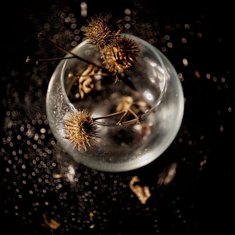 Репейникphoto preview