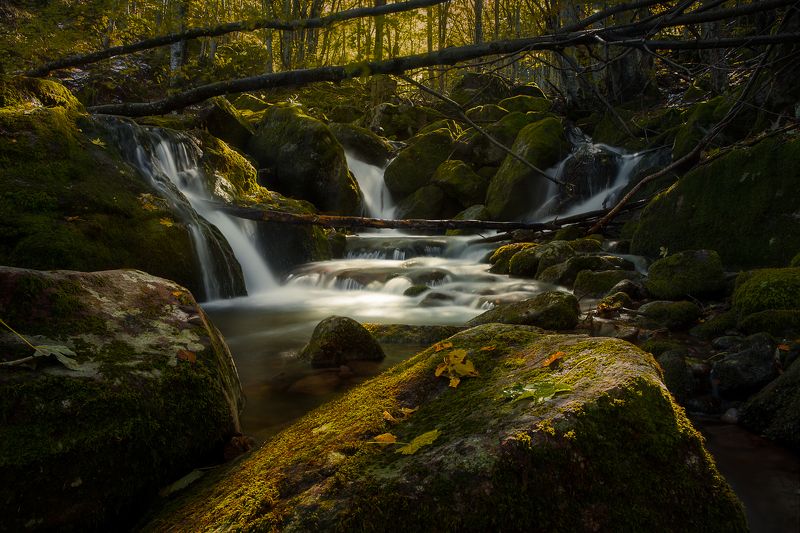 Стара рекаphoto preview