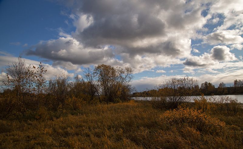 ************photo preview