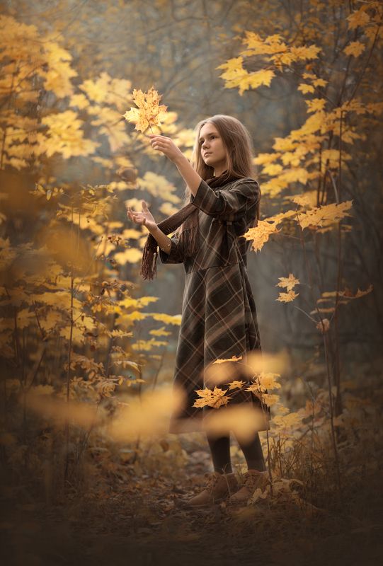 Осеннее настроениеphoto preview