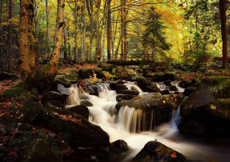 The Autumn beauty of naturephoto preview