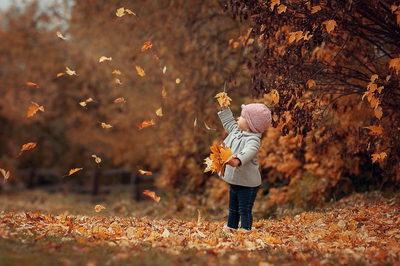 Листопадphoto preview