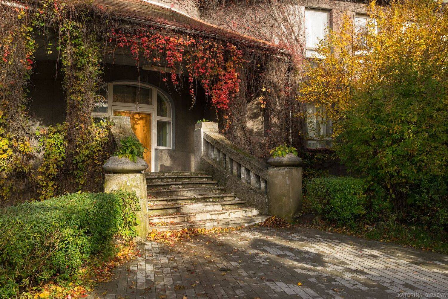 осень, архитектура, Сипаева Катерина