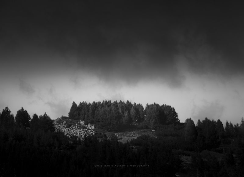 landscape, mist, fog, rain, vitosha, bulgaria, mountain, autumn, fall, pines, light, haze, trees, forrest, hills, black and white Vitosha Highlandsphoto preview