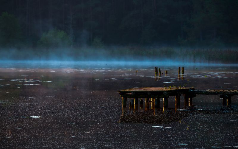 J.Skrzynkphoto preview