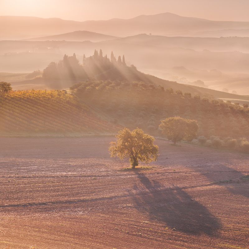 sv-phototravel.com, тоскана Под солнцем Тосканыphoto preview