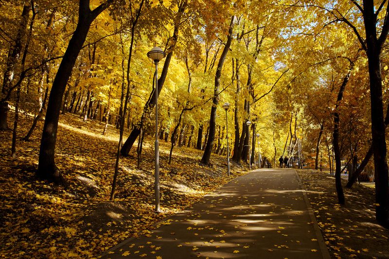 Воронеж,осень Осенний паркphoto preview