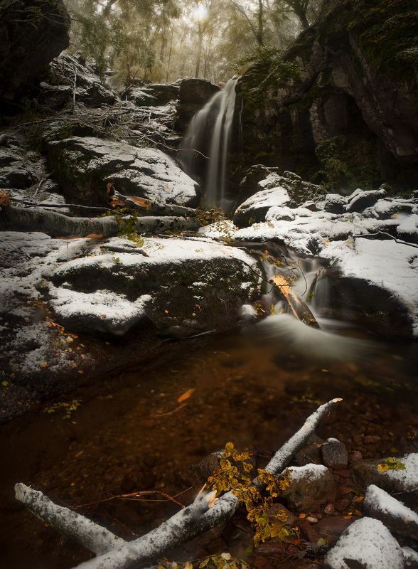 Копренски красотиphoto preview