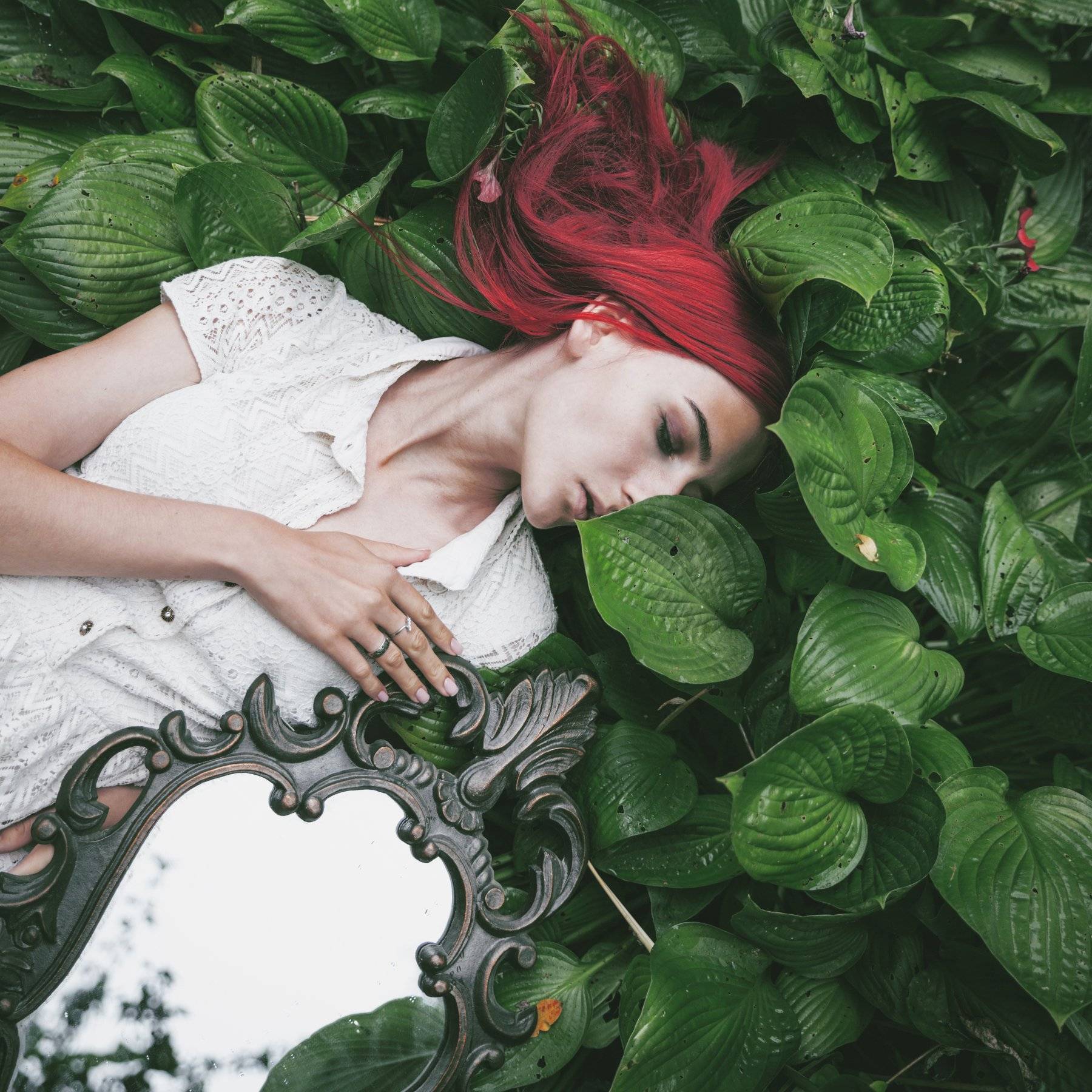 red and green. Автор: Marie Dashkova , Marie Dashkova