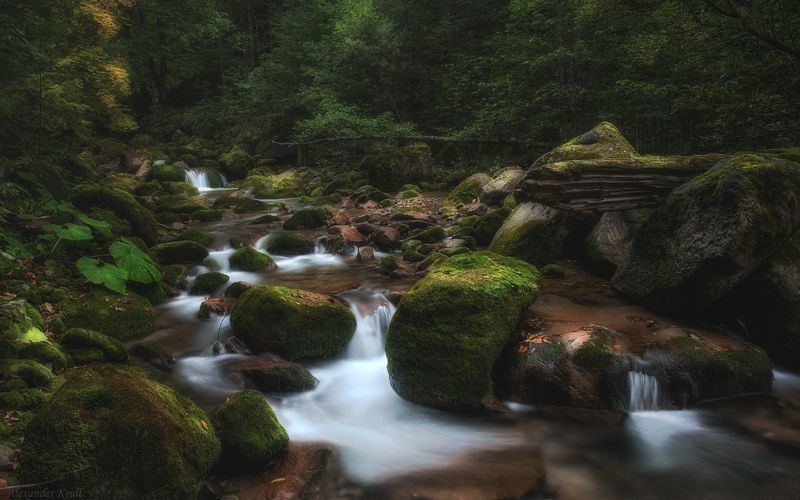 Шумит Рожкао...photo preview