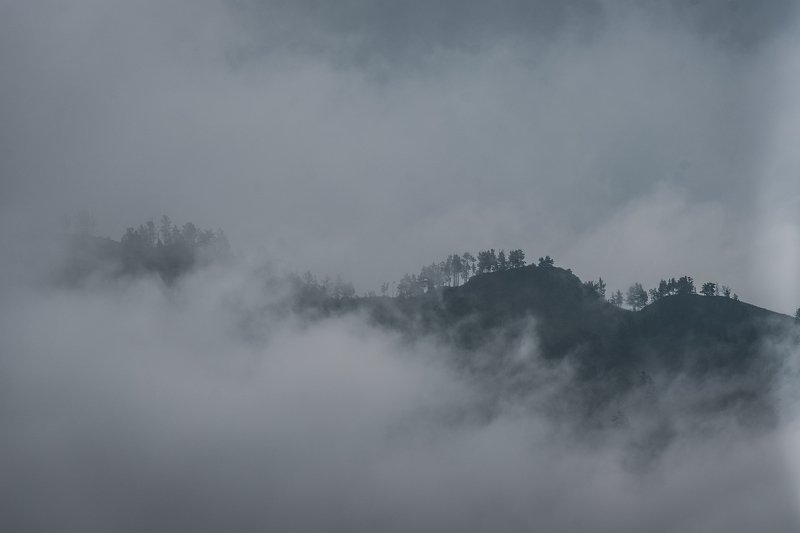 Алтай, fog, landscape, mountains туманphoto preview