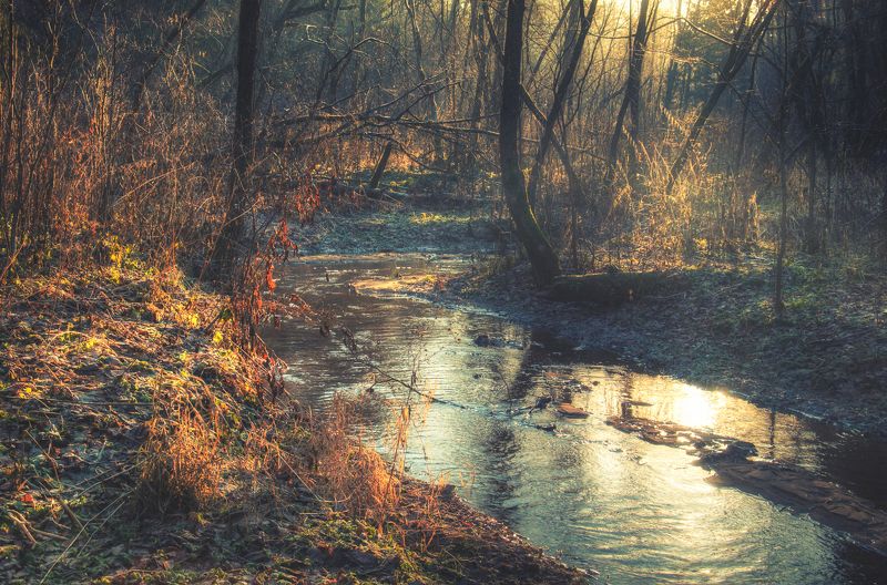 осень, река, вода, тень, свет, закат Река Самынкаphoto preview