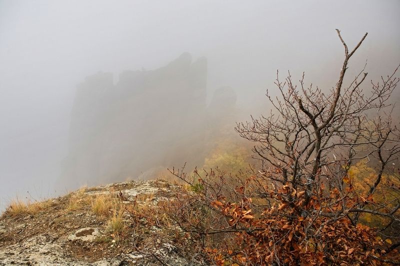 крым, демерджи, октябрь, туман, 5d Осенние туманы Демерджиphoto preview