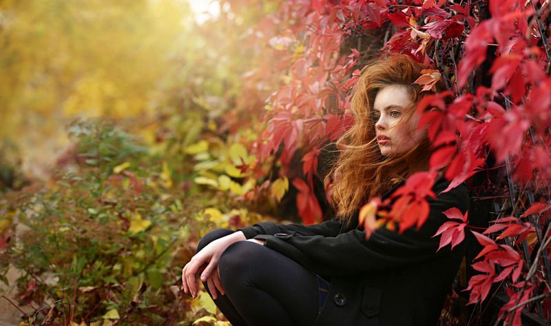 17.10.17 - один день октября.photo preview