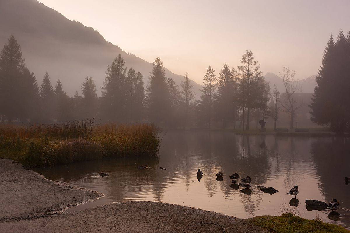 Светало.... Автор: Света Черникова , Света Черникова