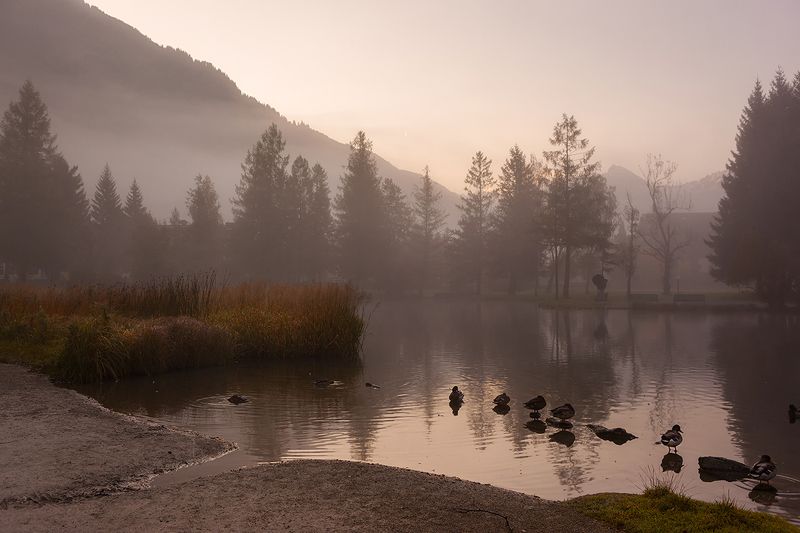 Светало...photo preview