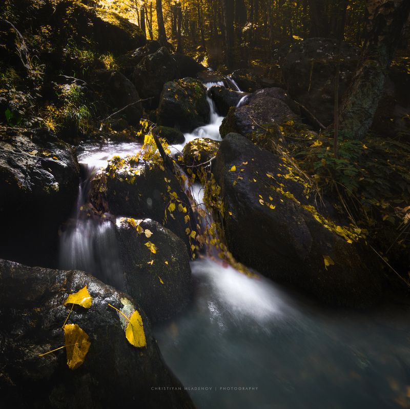 autumn, fall, landscape, trees, forest, woods, bulgaria, colors, nature, fog, mist, rain, october, waterfall, creek, long exposure, woods, leaves WaterFall Dayphoto preview